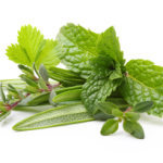 shutterstock_277318127 1