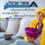 נמאס-לך-לשבת-בסלון-עם-נזילות__20241119_094445_0000