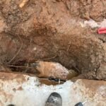 04E49D2D-FCFF-4F9C-AAB7-596BD0558566