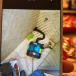 C06A7718-9334-48D9-BD89-E22624D78F5C