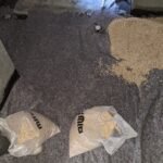 PXL_20220414_124731626