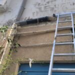 WhatsApp Image 2025-09-01 at 12.11.04 (1)