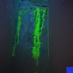 WhatsApp Image 2025-09-01 at 23.26.11 (1)