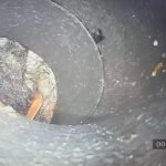 capturePhoto25_09_08_8_12_27