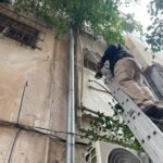 7bd05a19-0635-4b7c-8f6a-873266bffb4d